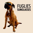 Polarised Safety Sunglasses